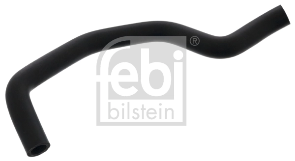 Hose, crankcase ventilation